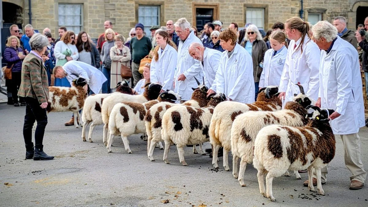 Great Yorkshire Show 2026: Weather Details Await