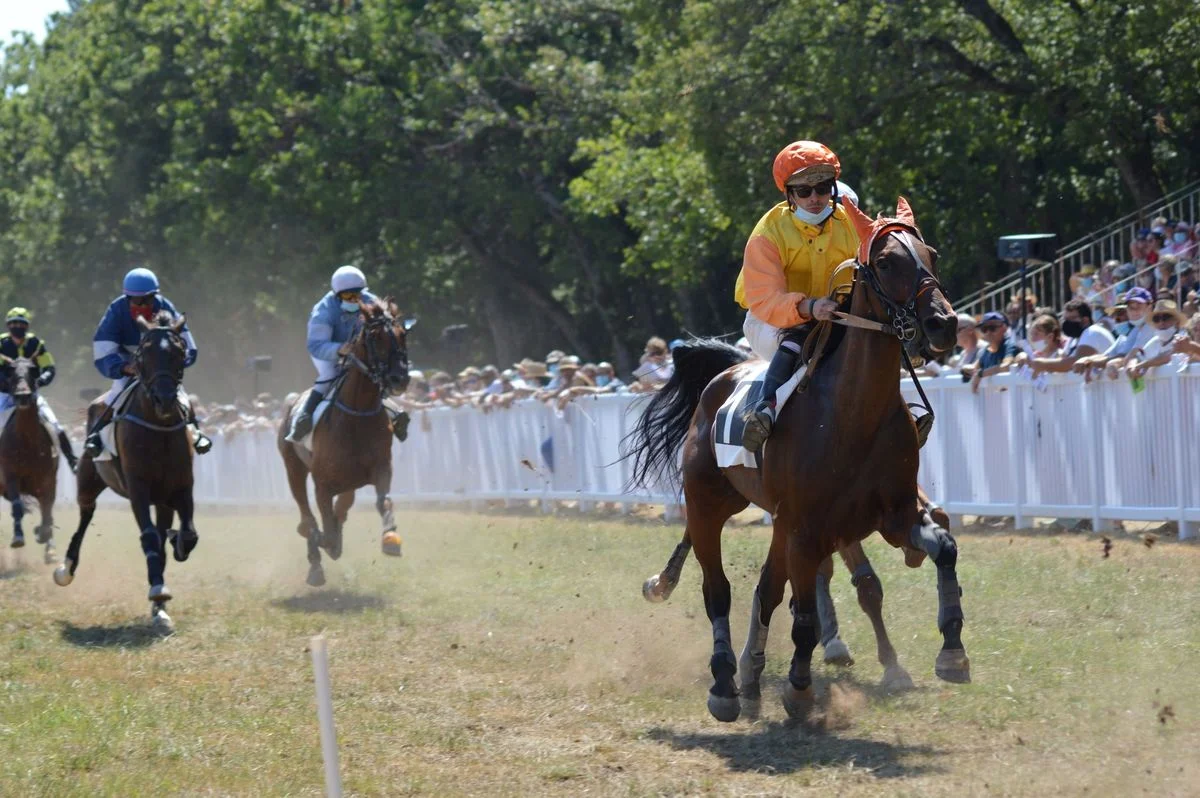 Horse Racing Tips Offered for Goodwood and Beyond