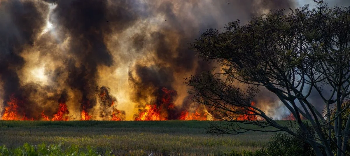 New Insights on Heatwaves and Pollution Levels